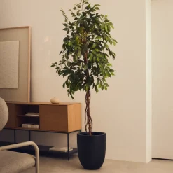 Kunstplant Ficus 180cm hoog, excl. sierpot