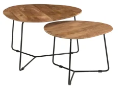 Organische Salontafel Ivy Set van 2 stuks