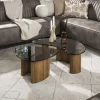 Organische Salontafel Kely, set van 2 stuks, Brons glas