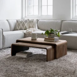 Salontafel Evo Teakhout, Set van 2 stuks