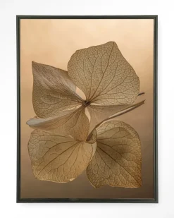 Wandkleed Leaf Me: Unfolded in maat en frame naar keuze